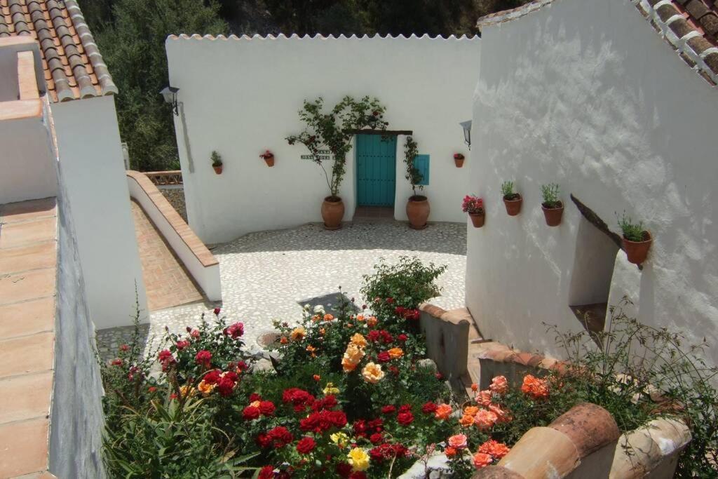 Casa Rosa, Con Encanto Y Piscina Climatizada Frigiliana Bagian luar foto