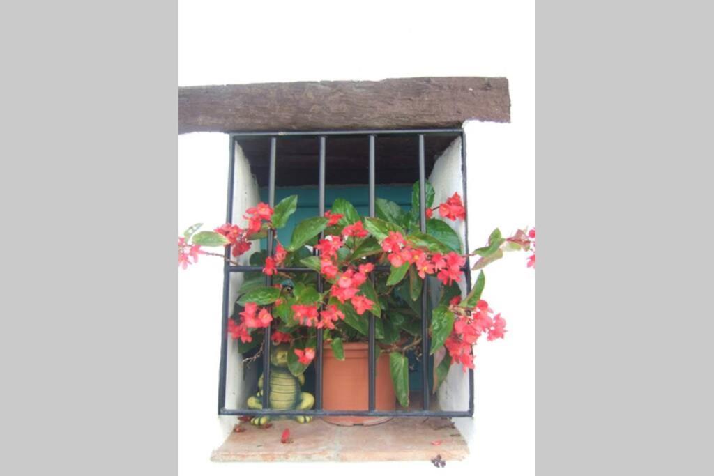 Casa Rosa, Con Encanto Y Piscina Climatizada Frigiliana Bagian luar foto